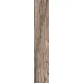 BENEDIKT TILES ABK Dolphin Oak 20×120 nat. rett.