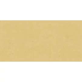 BENEDIKT TILES ABK Wide and Style Ginger 60×120 nat. rett.