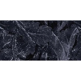 BENEDIKT TILES Emil Tele di Marmo Revolution Calacatta Black Acanto 60x120 cm full