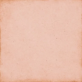 BENEDIKT TILES Equipe Art Nouveau Coral Pink 20×20