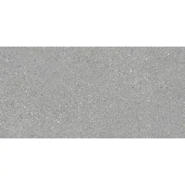 BENEDIKT TILES Ergon Grainstone Fine Grain Grey 30×60 nat. rett.