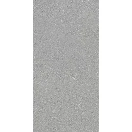 BENEDIKT TILES Ergon Grainstone Fine Grain Grey 60×120 nat. rett.