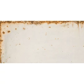 BENEDIKT TILES Ergon Metal Style Revival 30×60 nat. rett.