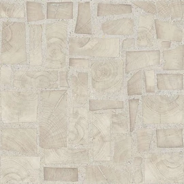 BENEDIKT TILES Provenza Alter Incontro Sbiancato 60×60 nat. rett.