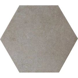 BENEDIKT TILES Ragno Rewind Polvere Esagono 21x18,2