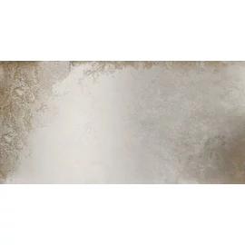 BENEDIKT TILES Viva Narciso Argento 30×60 full lapp. rett.