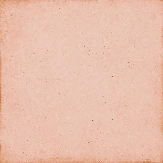 BENEDIKT TILES Equipe Art Nouveau Coral Pink 20×20