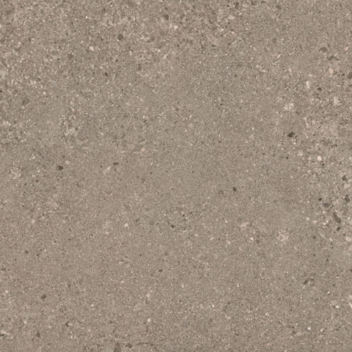 Ergon Grainstone Rough Grain Taupe 60×60 cm beltéri, kültéri padló- és falburkolat (E0CG)
